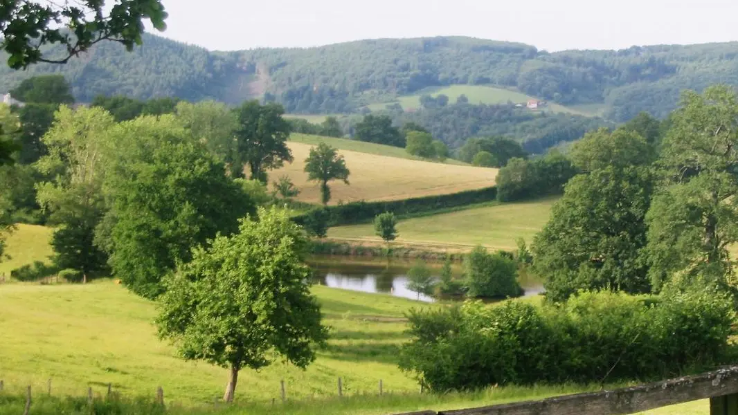 Gîte de France Allier  étang