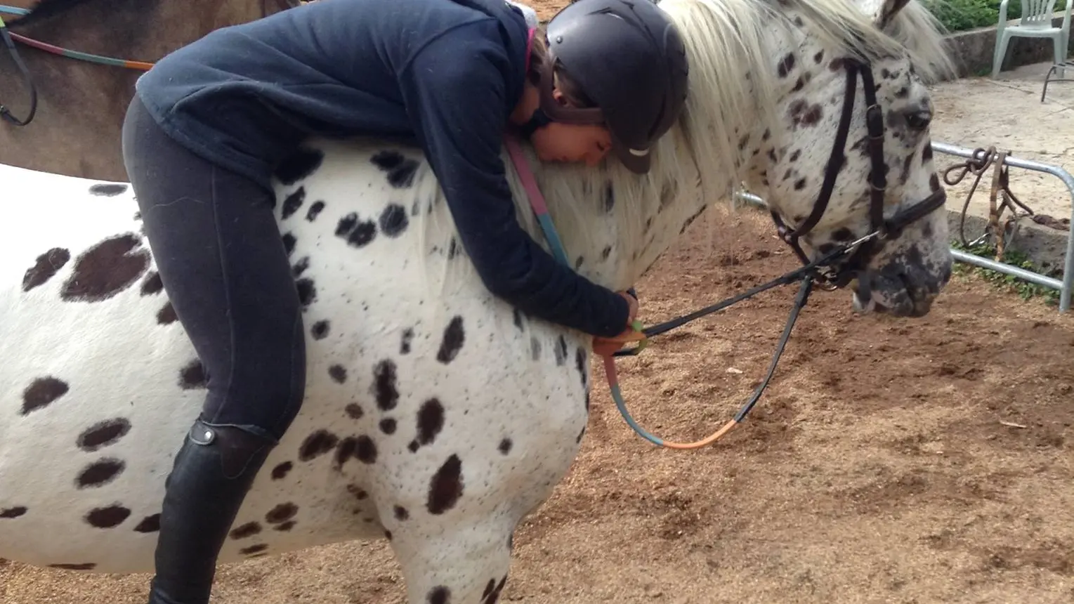 Le Poney Cernaise
