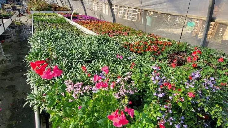 Les Serres de La Camandre_Fayence