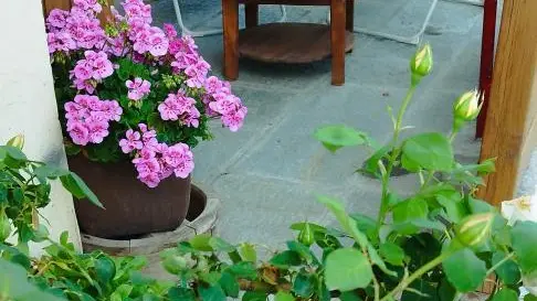 Terrasse couverte, coin détente