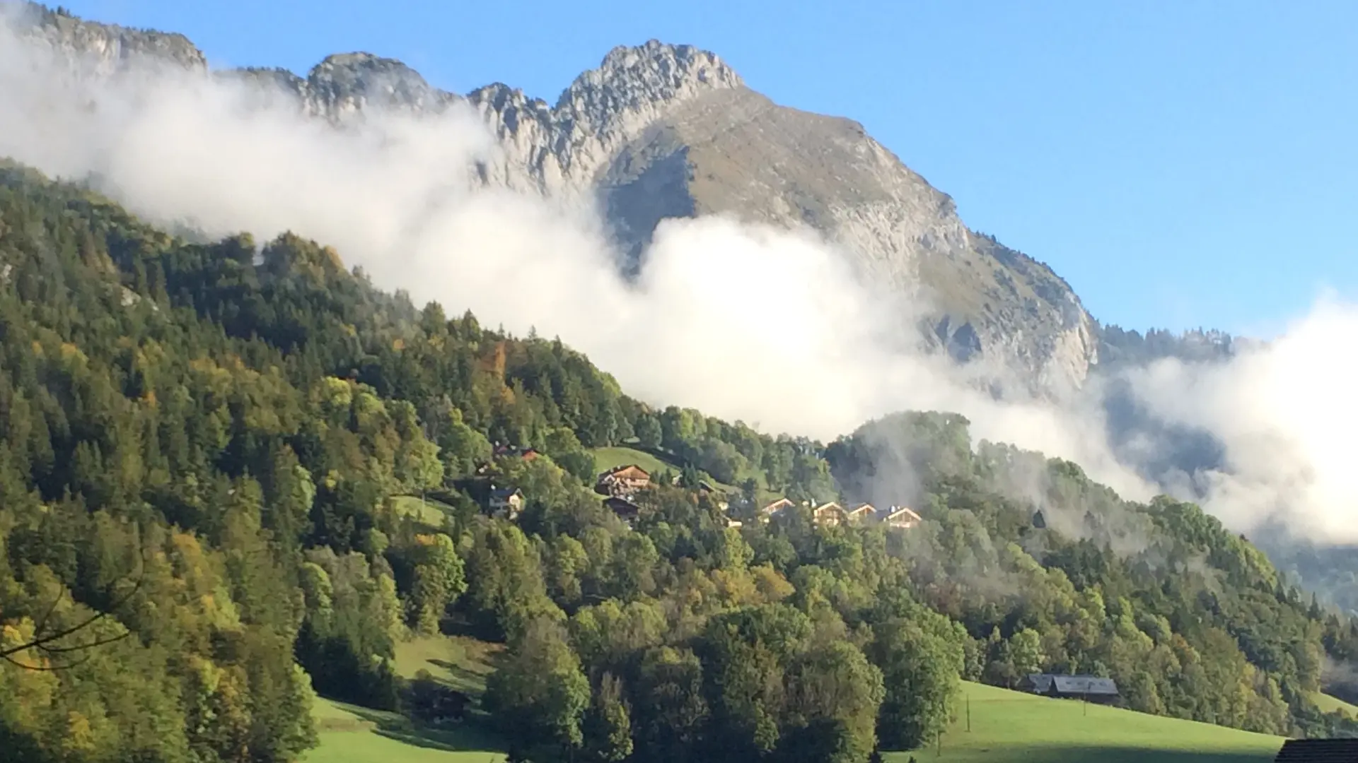 Vue de la salle de douche