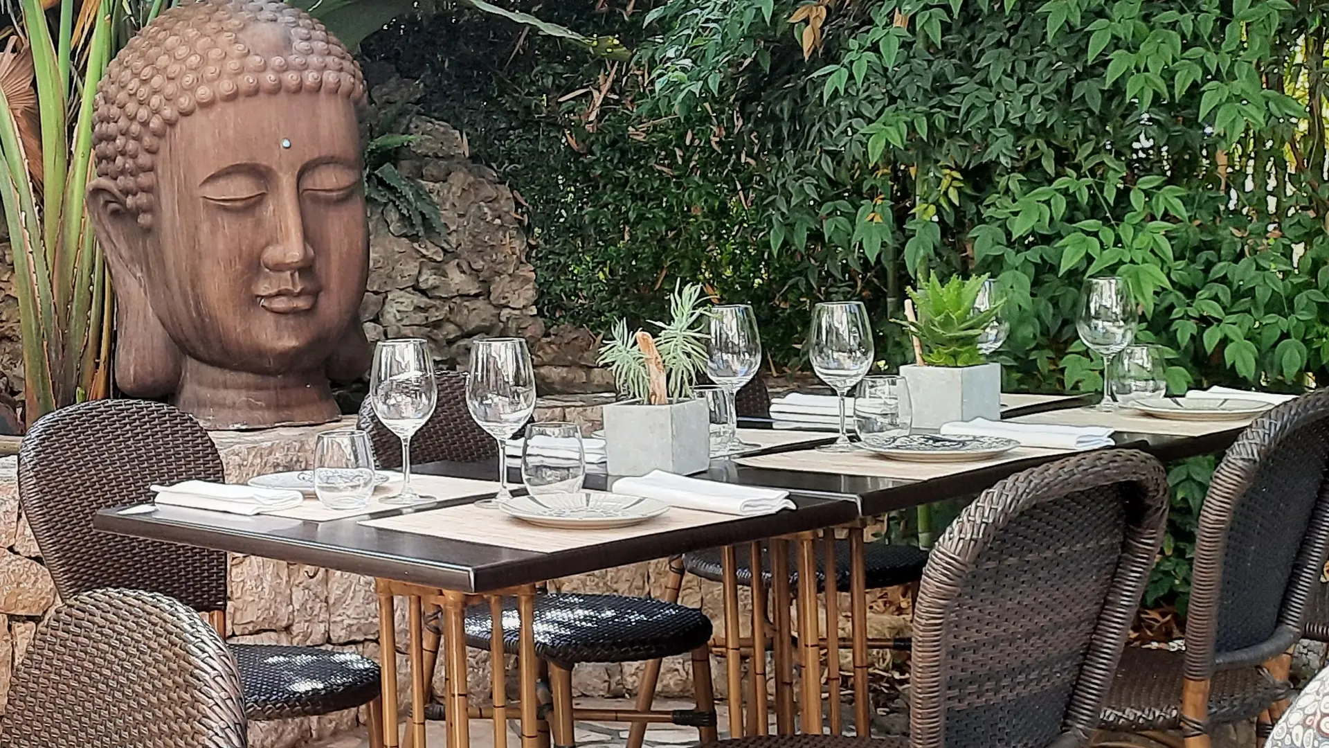 Terrasse dans un jardin ombragé