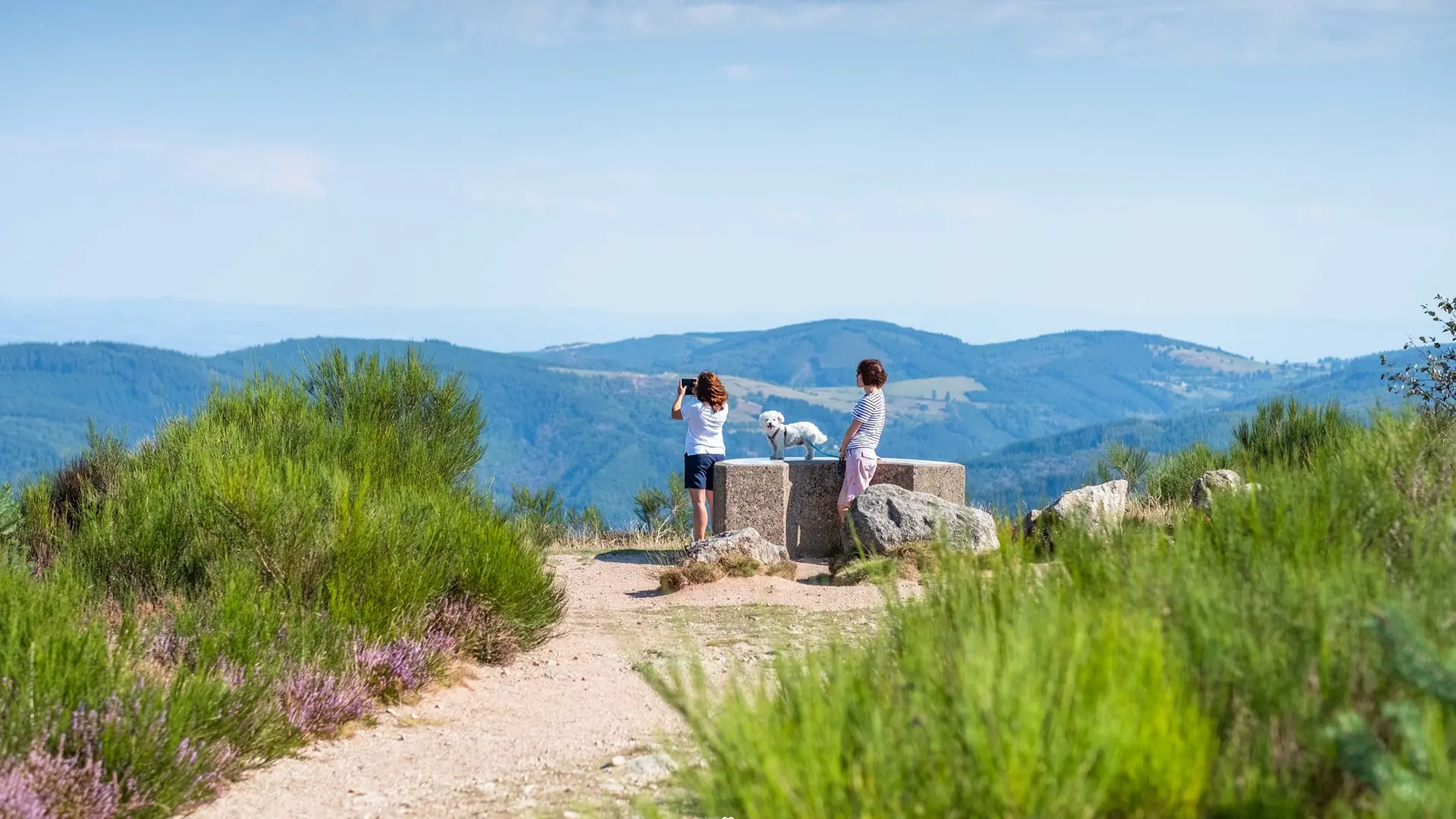 Le plateau de la Verrerie à Saint-Nicolas-des-Biefs