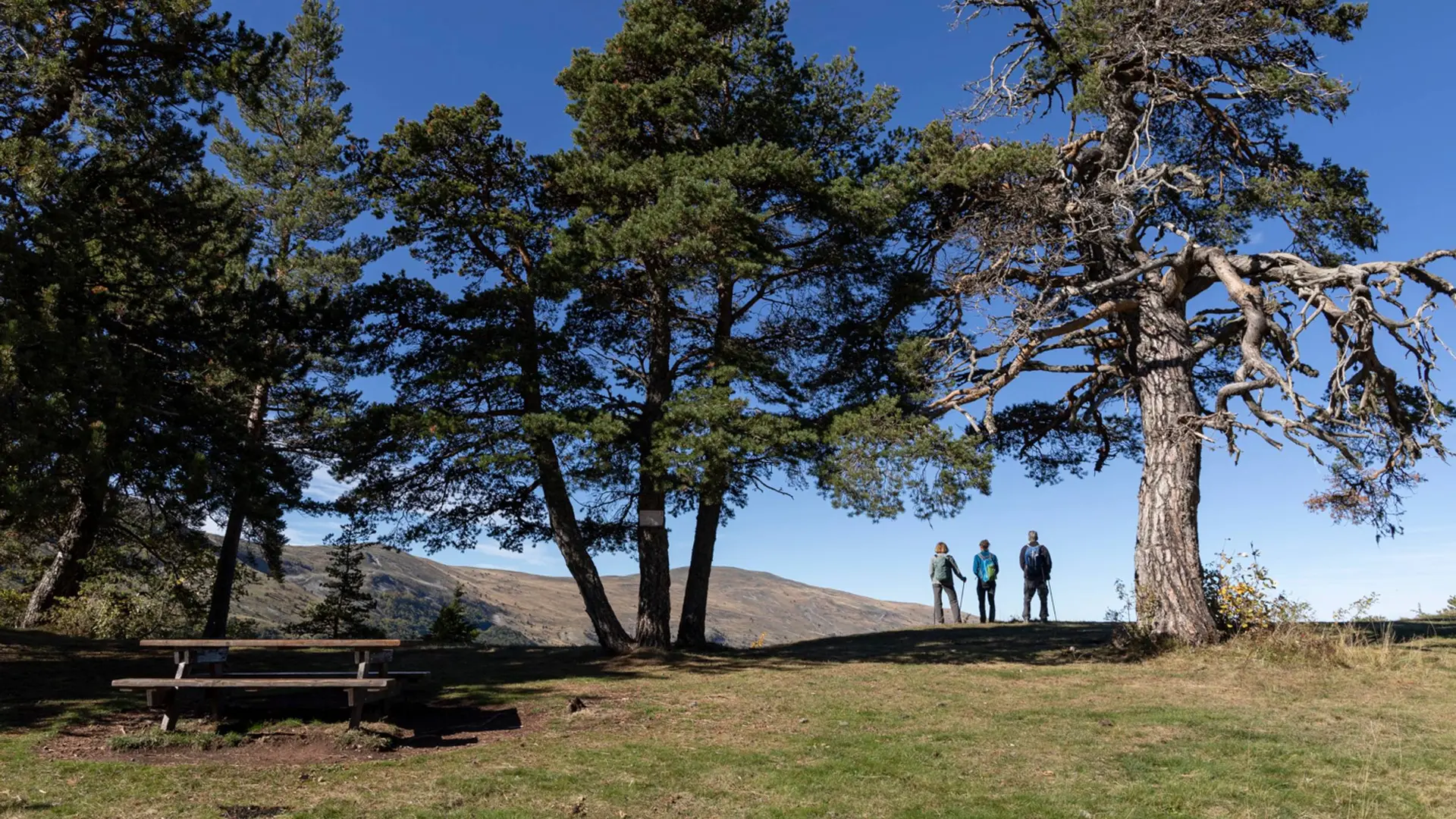 Sur les rives du lac des Monges