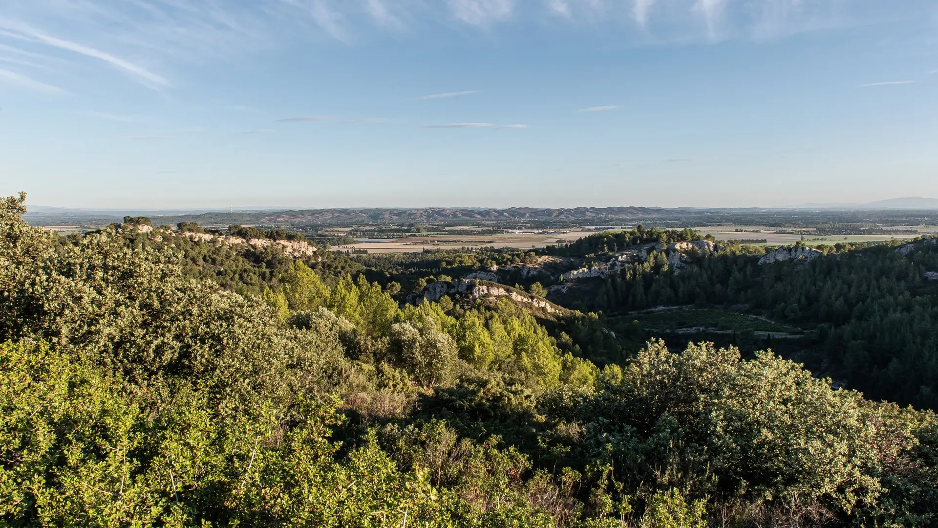 Domaine de Dalmeran à Saint-Étienne-du-Grès