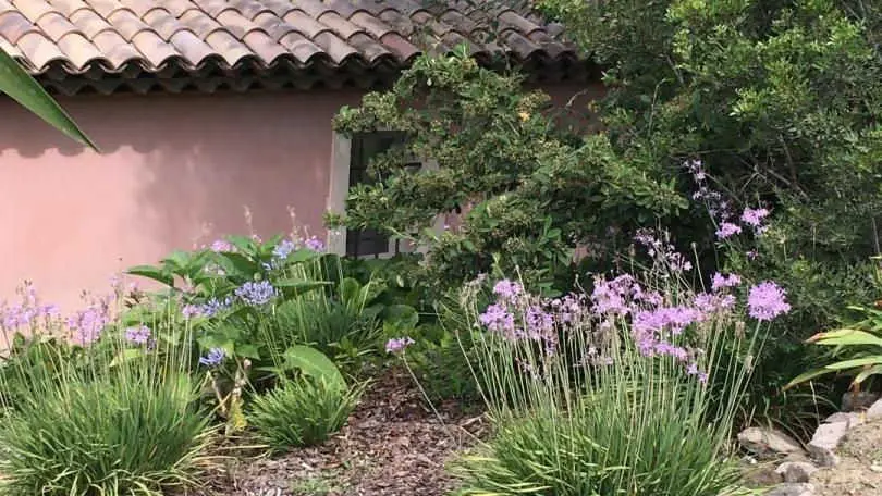 Gîte Mas de la Galinette Pivoine-Biot-Gîtes de France Alpes-Maritimes