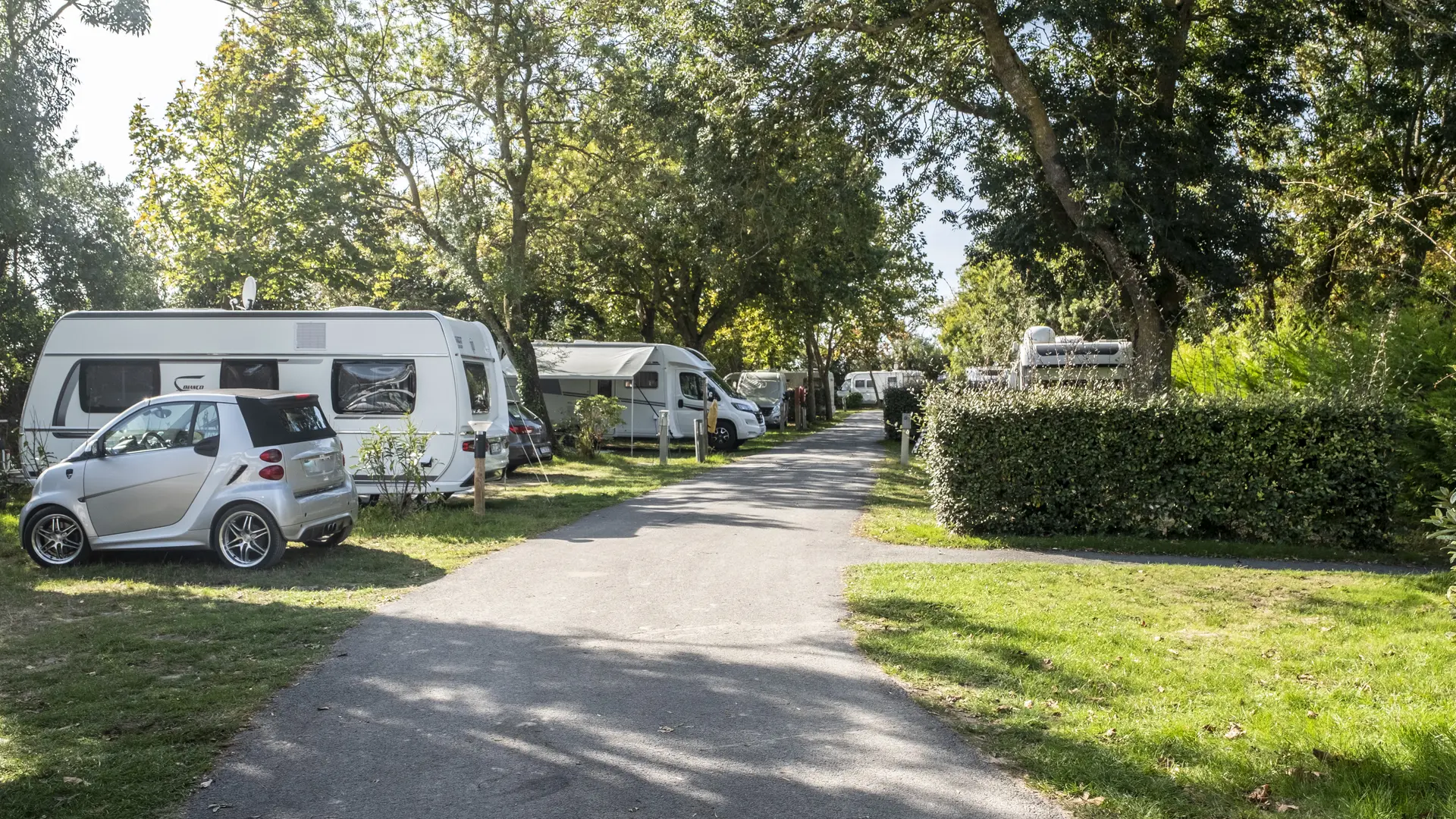 Motorhome/caravan/tent pitch