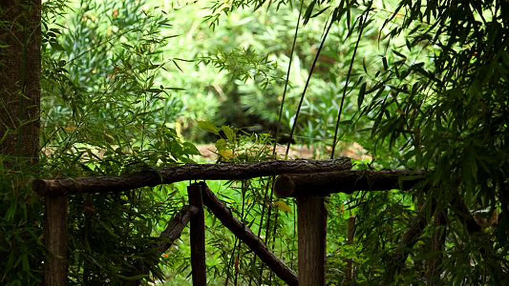 Jardin romantique