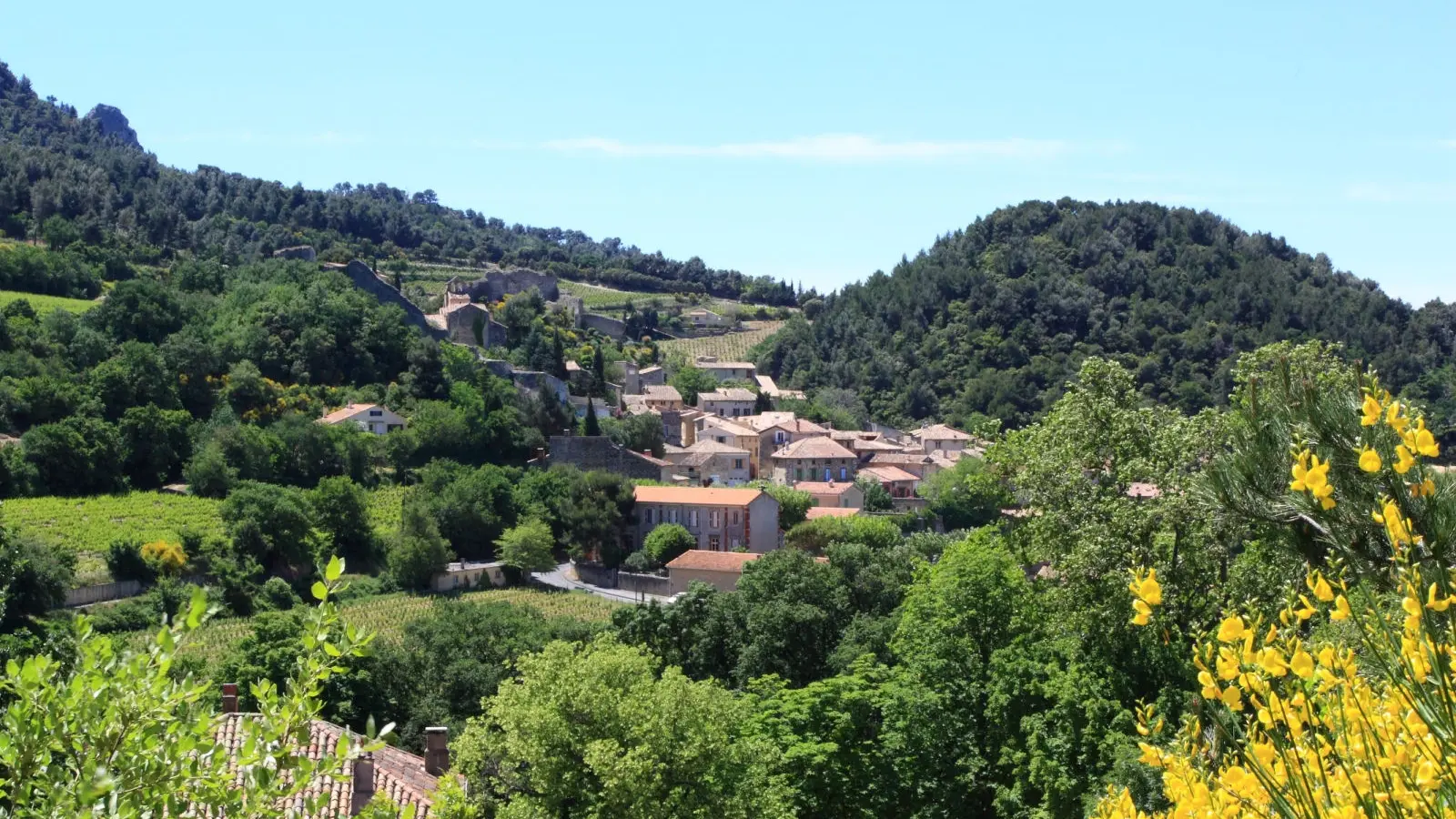 A. Hocquel / Collect ADT