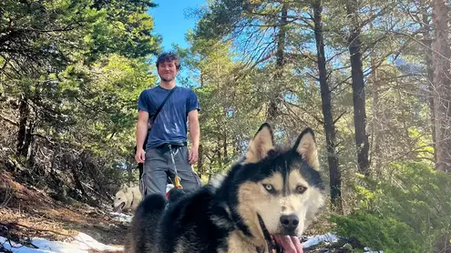 Cani randonnée immersive avec Banquise Traîneau