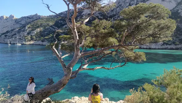 Randonnée baignade à la Calanque Sormiou - demi-journée