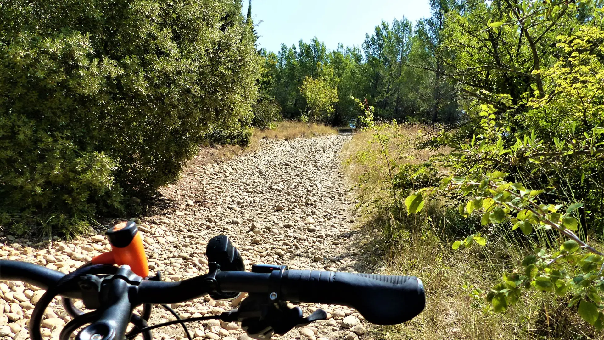 Entre Eyragues et Noves