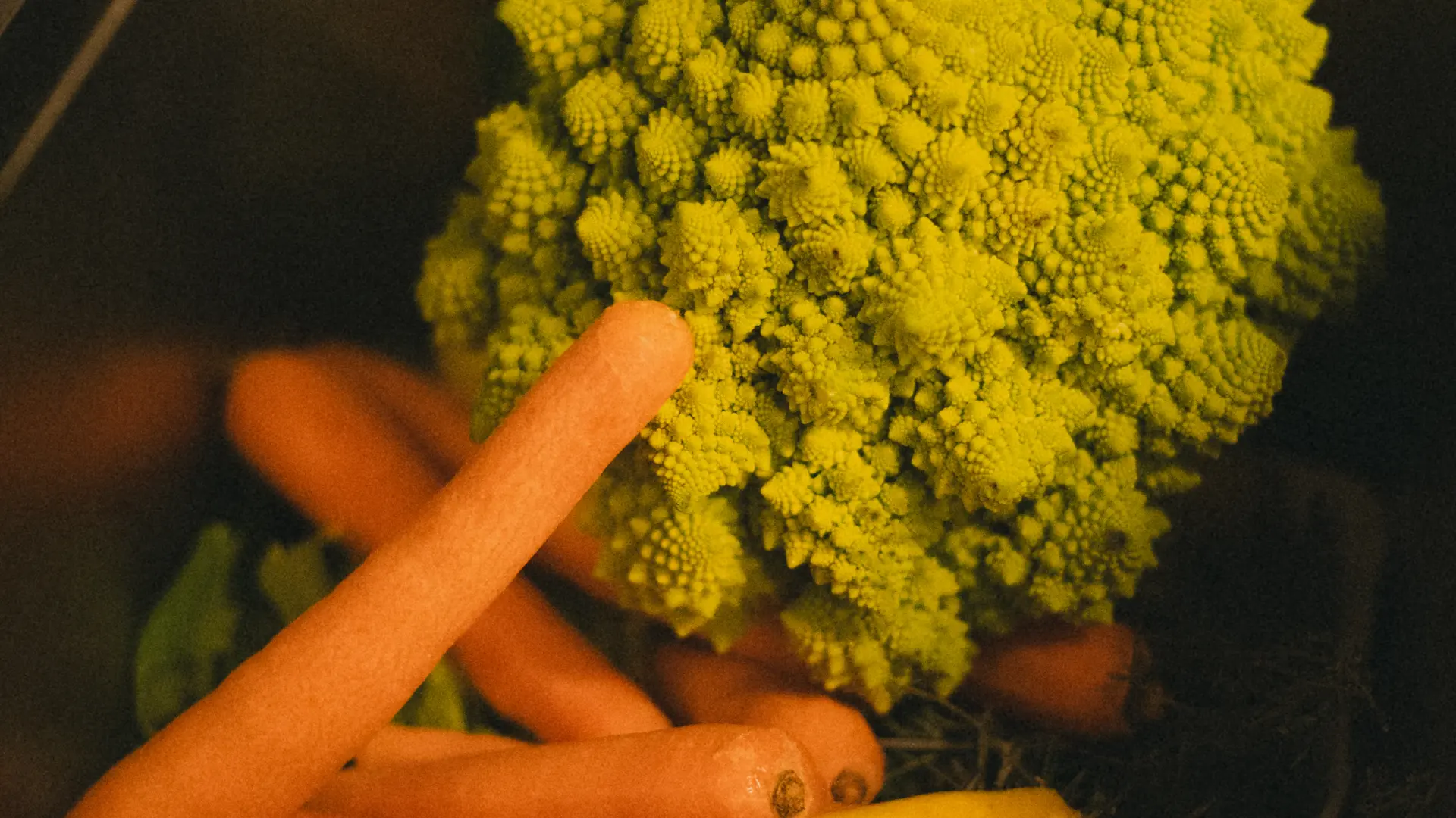 Légumes de saison