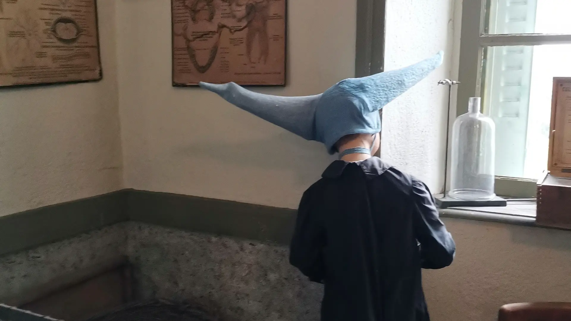 Bonnet d'âne
