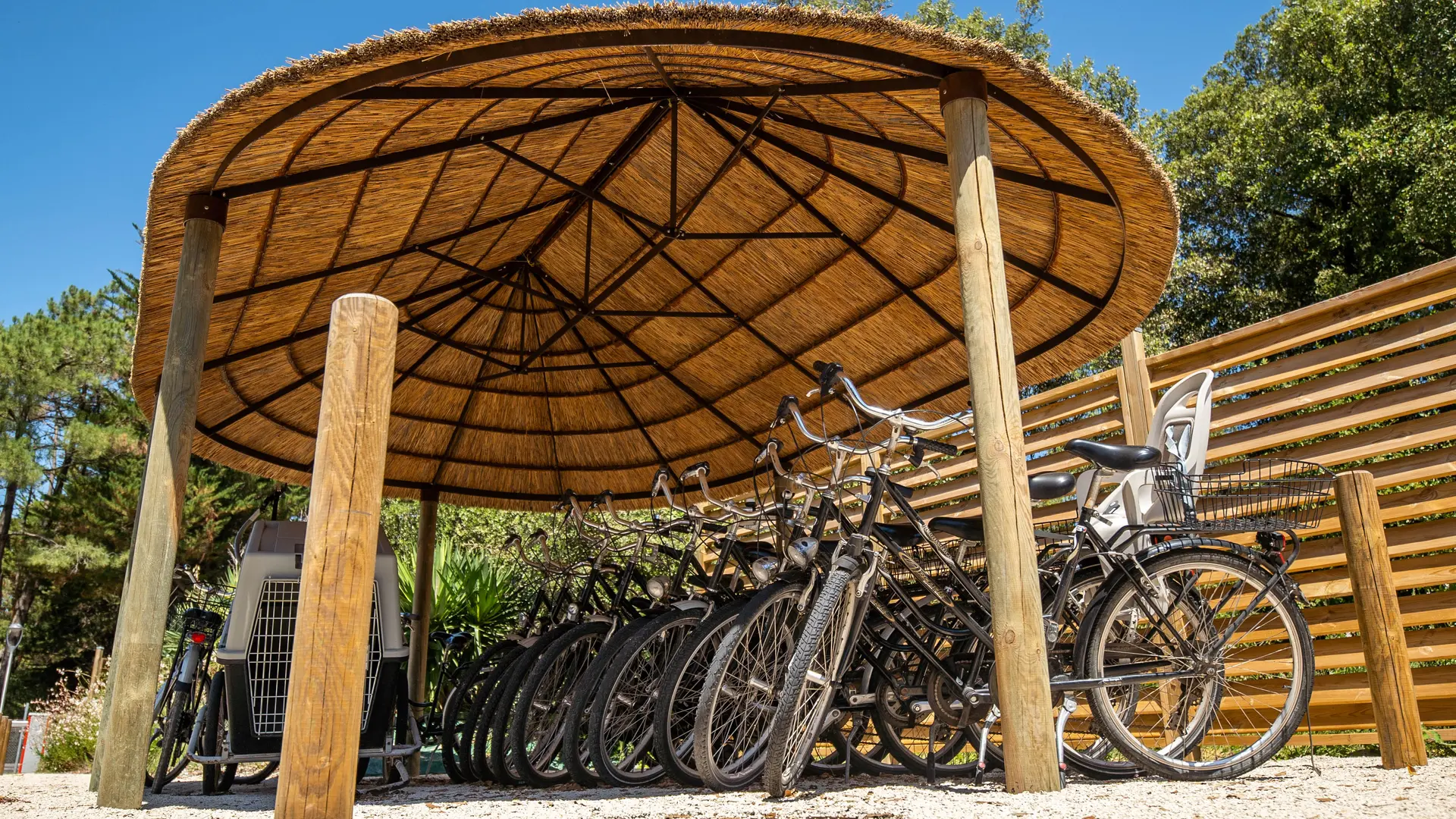 bike hire