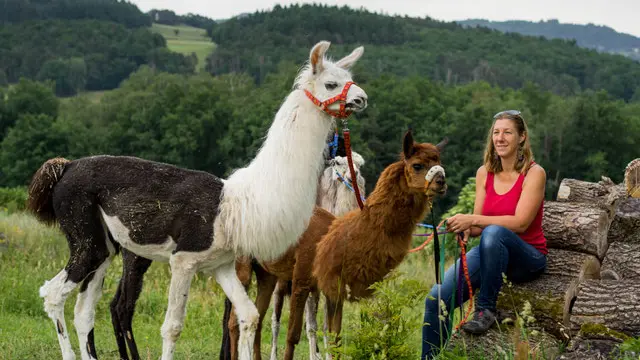 Ferme de champ rouge