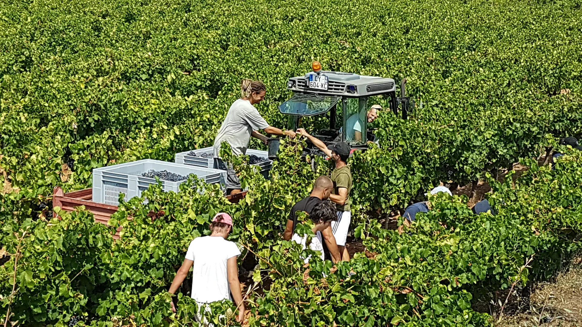 Château Les Valentines - La Londe les Maures