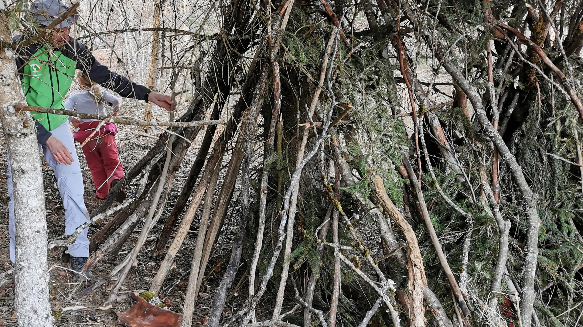Construction d'une cabane