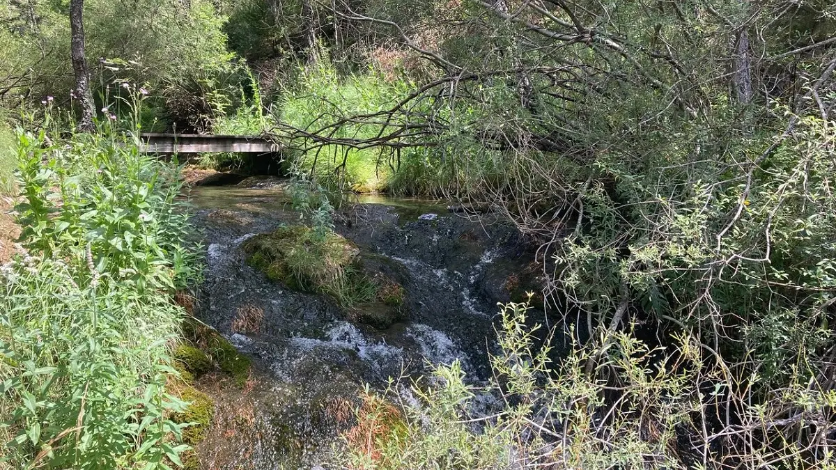 Tour des Champons Allons