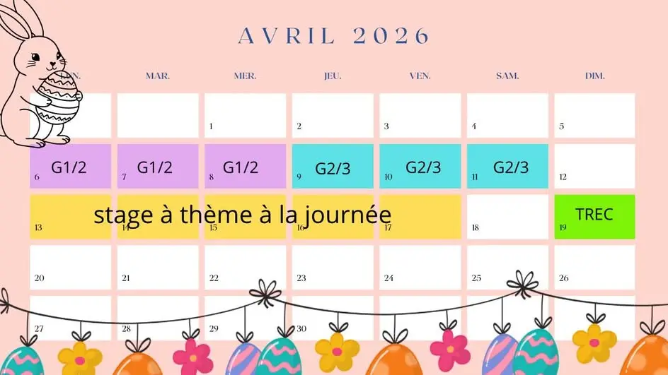 Stage spécial galop