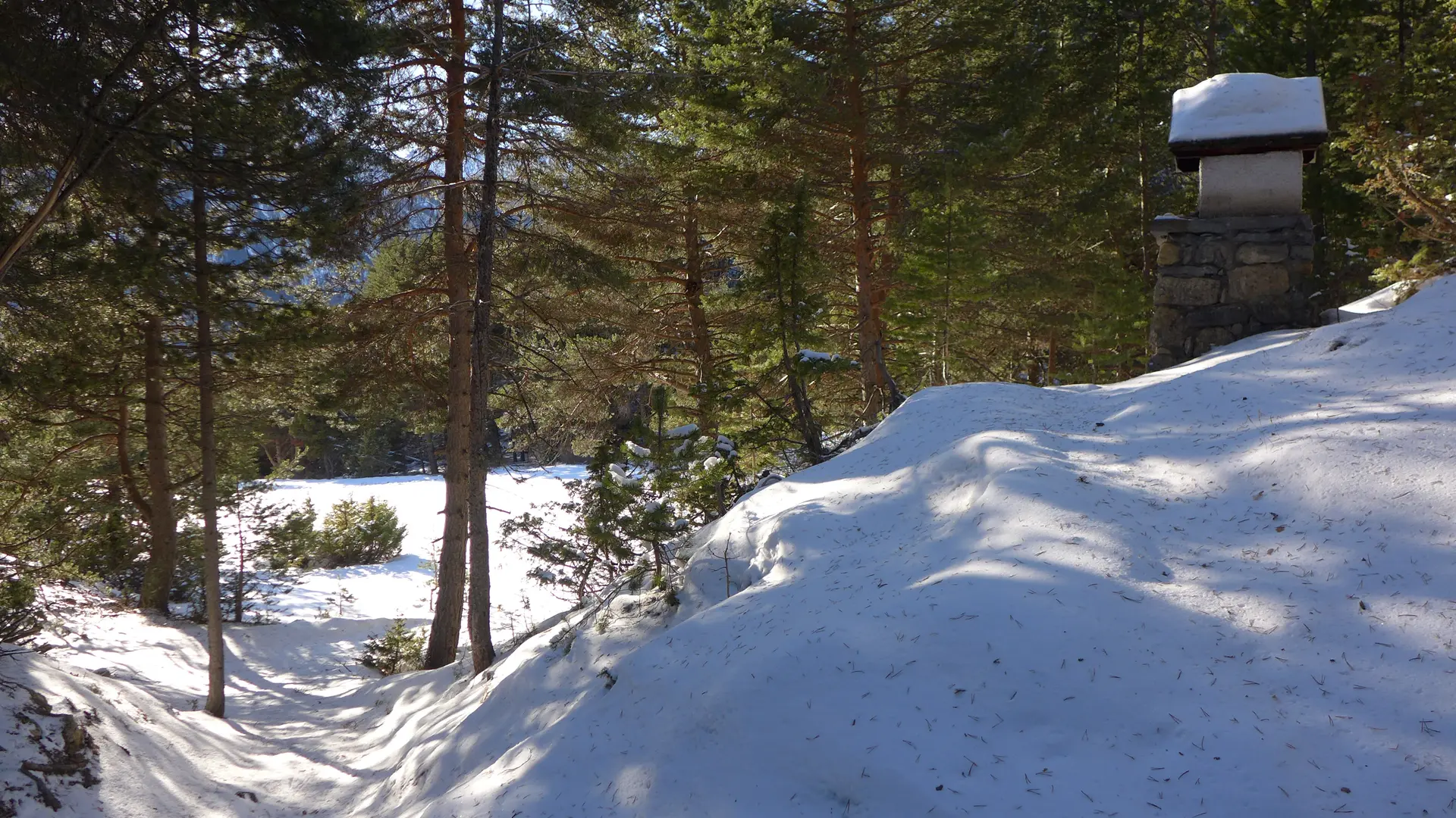 Oratoire dans la forêt