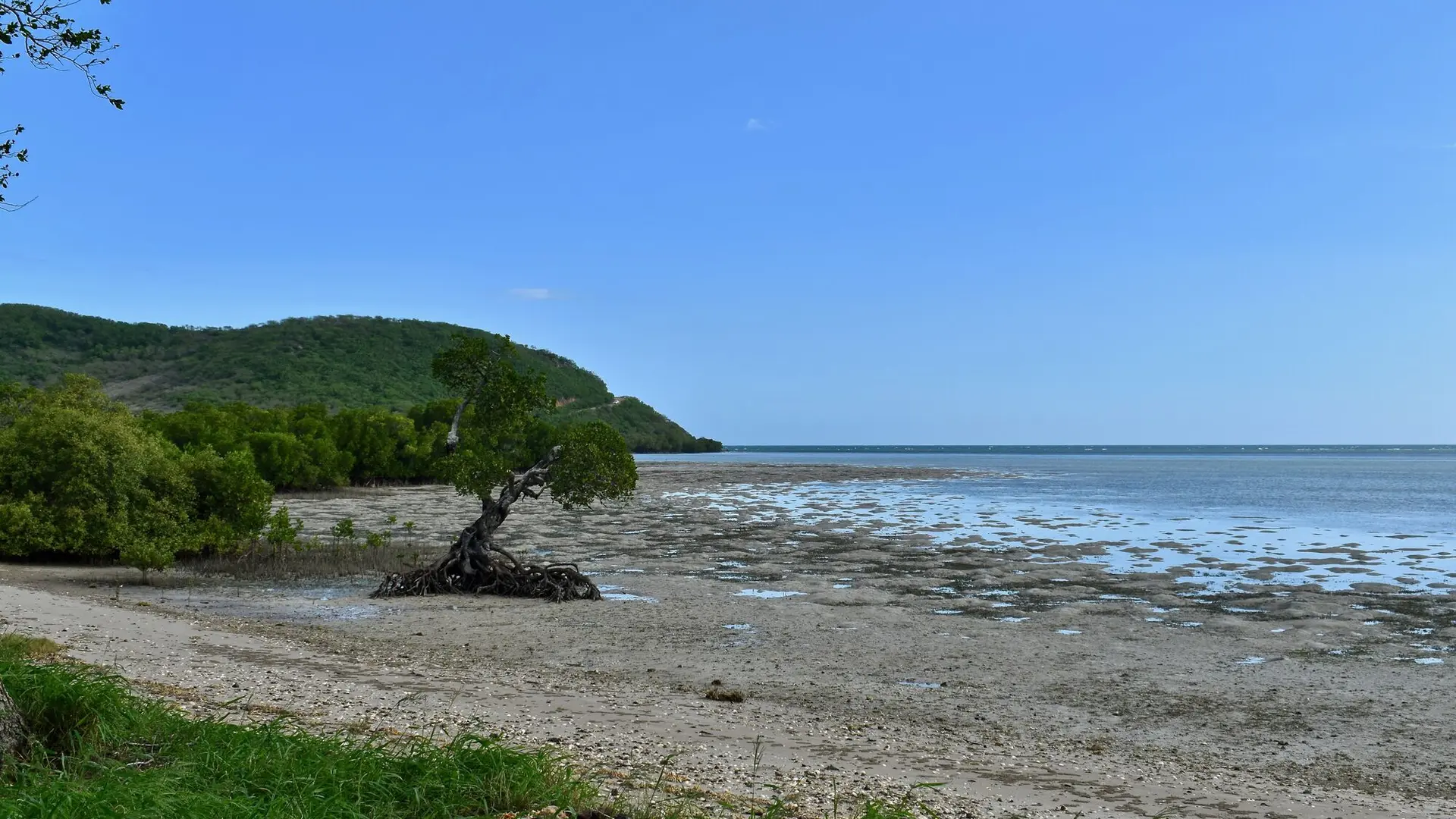 Plage - Pointe sauveur de Ouano