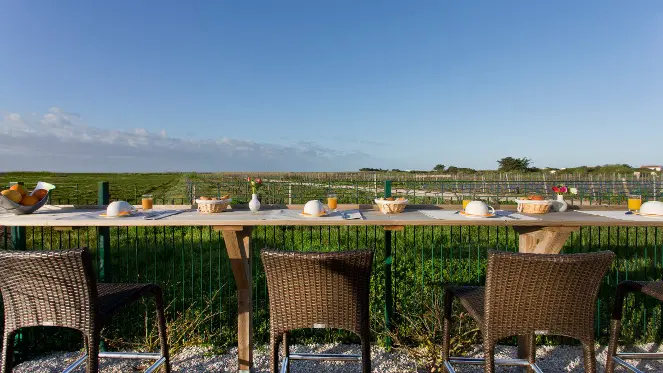 Terrasse vue sur les vignes