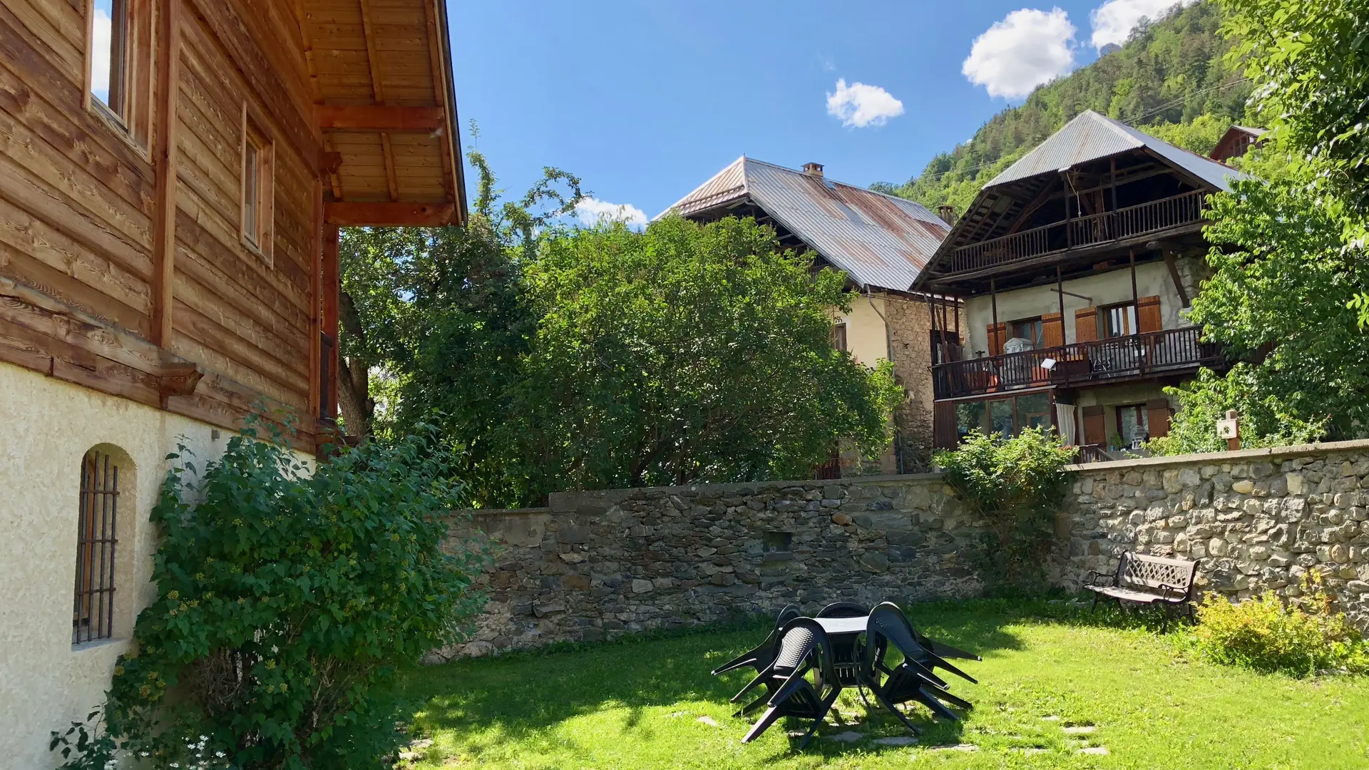 Mélèze jardin été