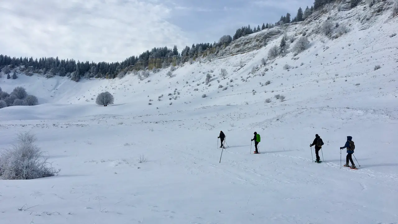 Curieux de Vercors_Villard-de-Lans
