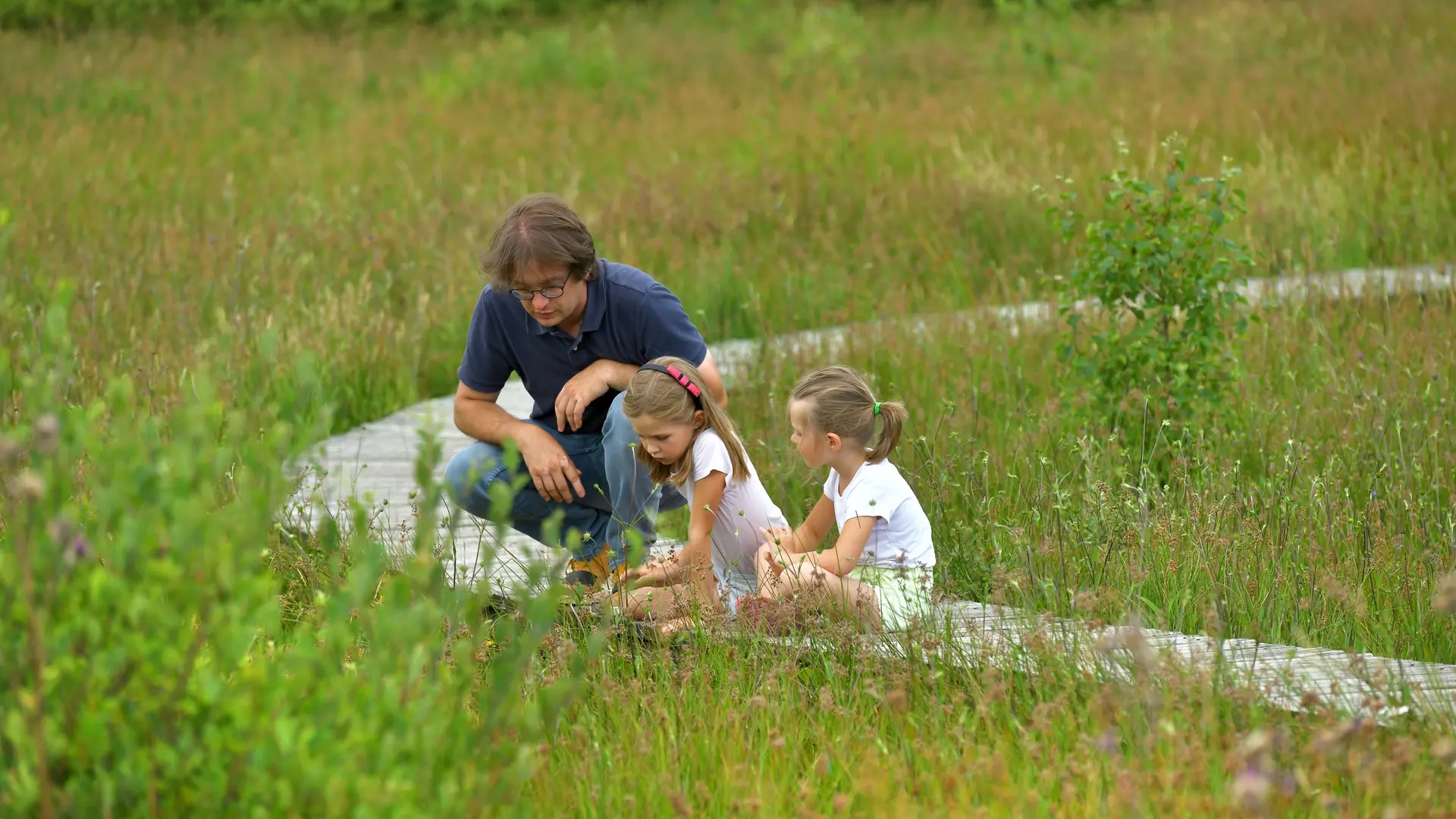 Ponton de la Tourbière à Saint-Nicolas-des-Biefs