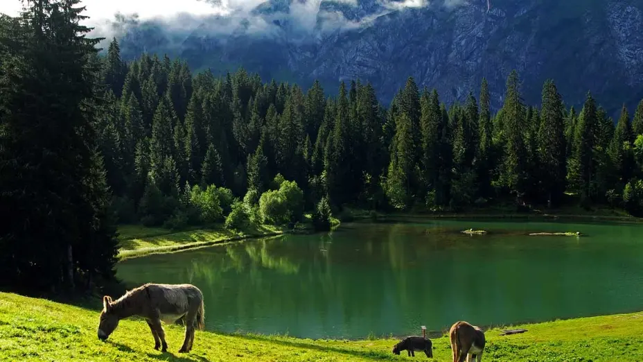 vue sur le lac
