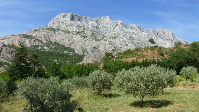 Le champ d'oliviers devant La Feuillère