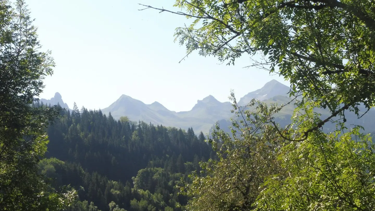 Les balades nous promettent de beaux paysages