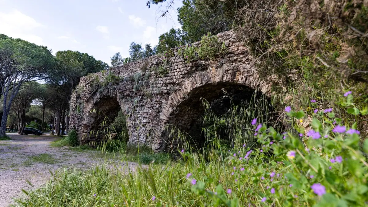 Des romains au parc aurélien_Fréjus