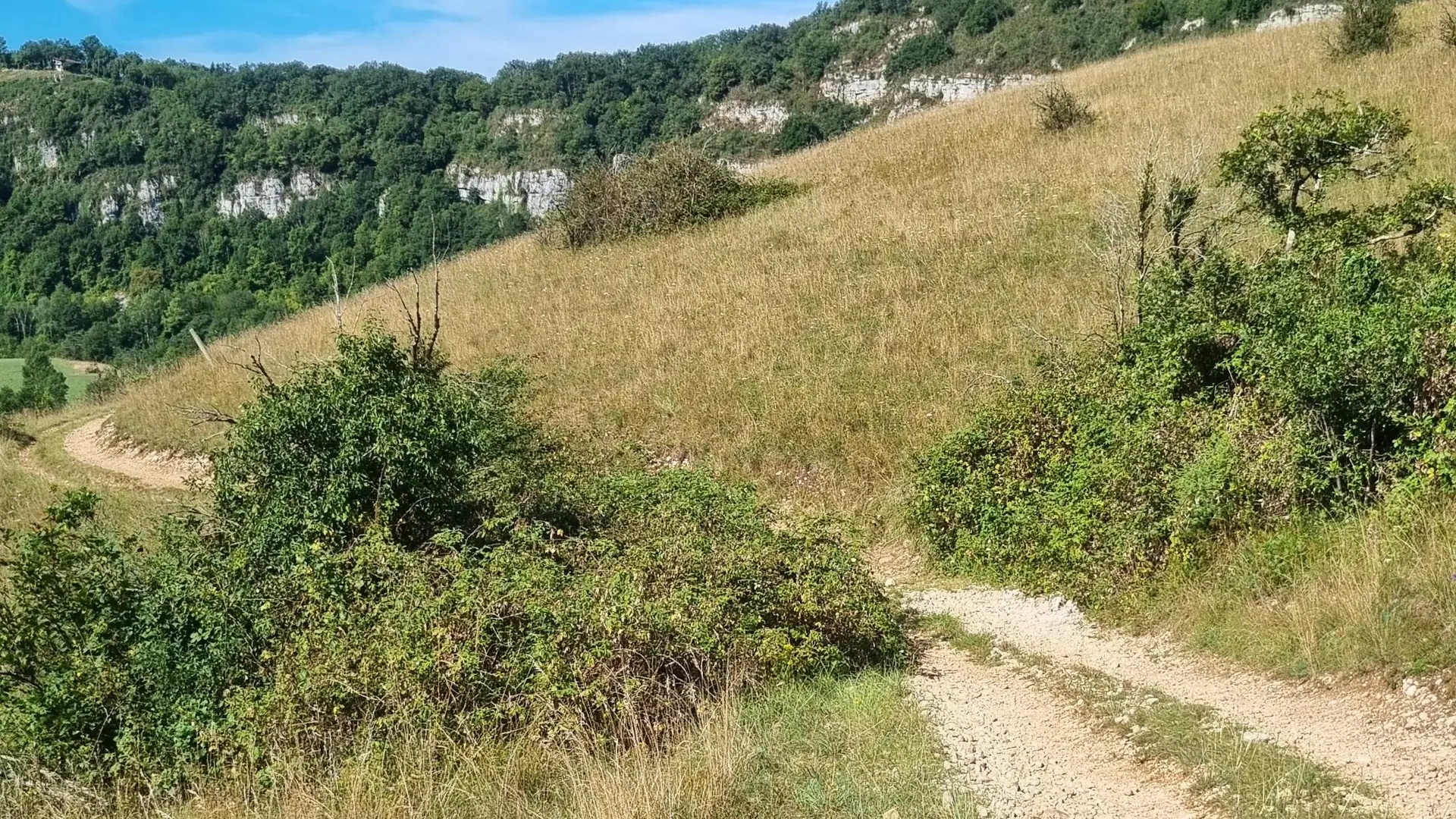 Gorges de l'Ain à VTT