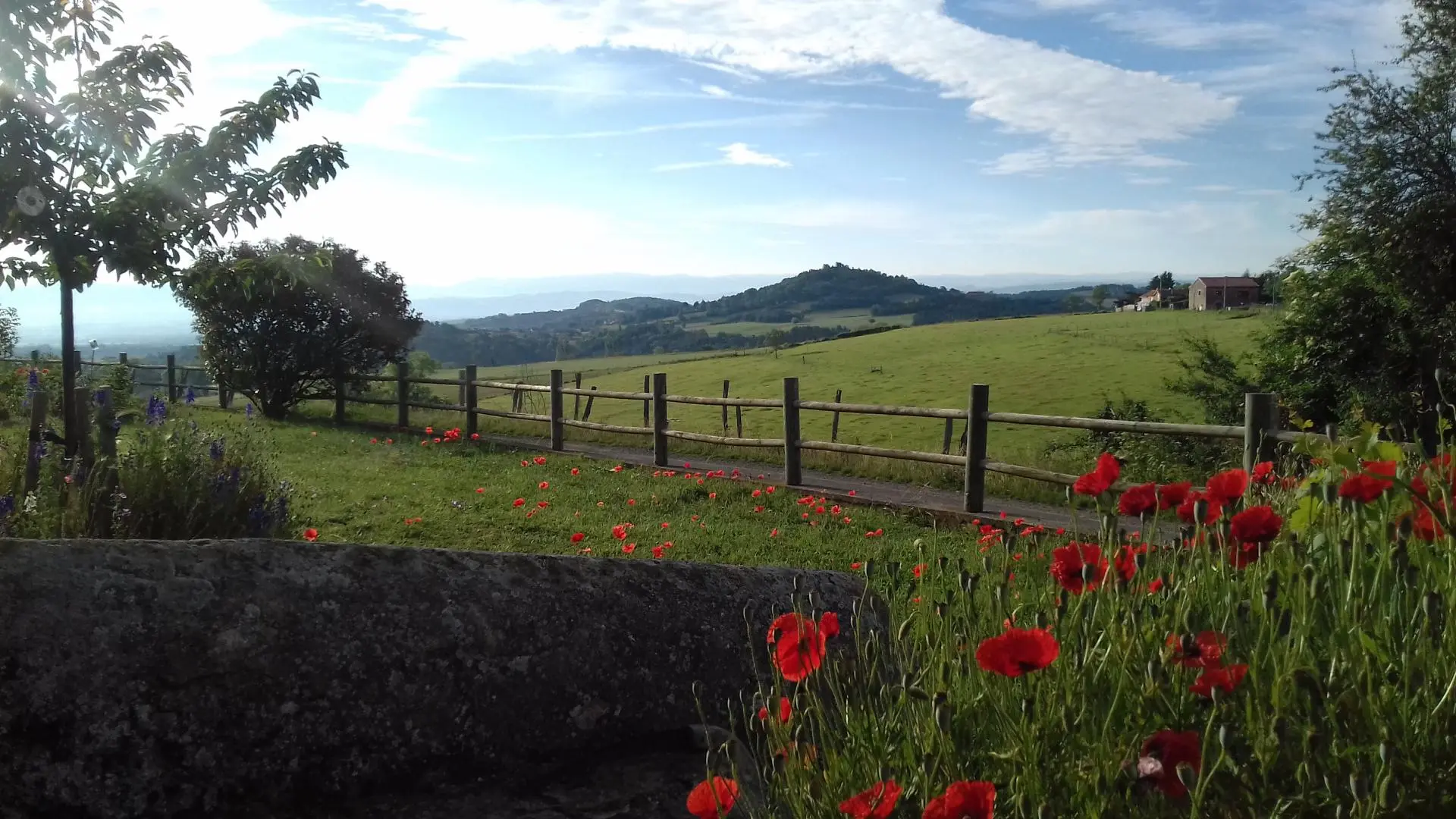 vue depuis le gîte