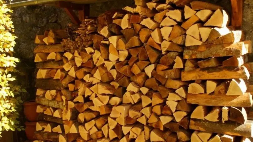beau bois du Jura!