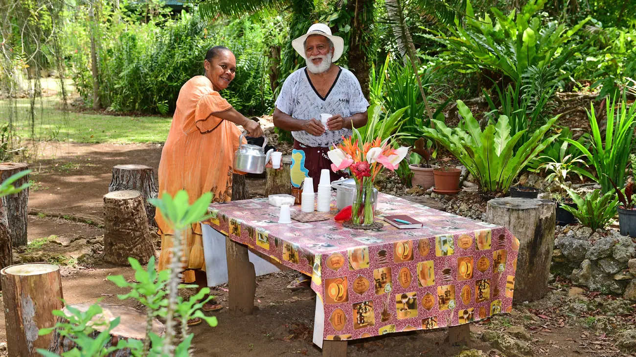 The vanilla plantation