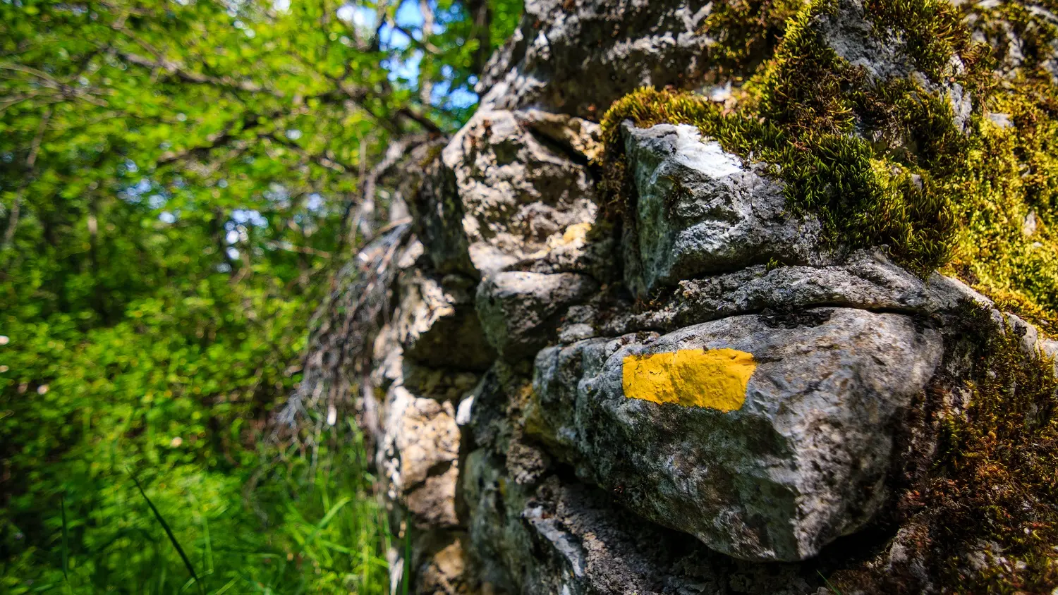 Balisage randonnée Tour de courchons