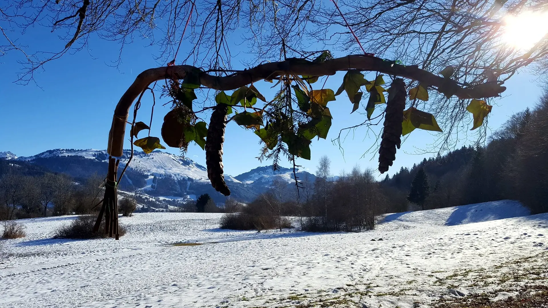 Décoration sur le sentier