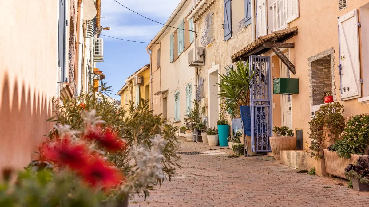 Promenade botanique