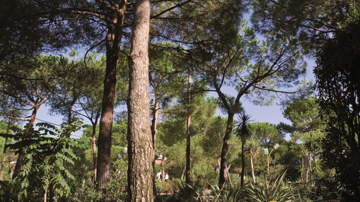 Pinède Gould©Service_Communication _Mairie_d'Antibes
