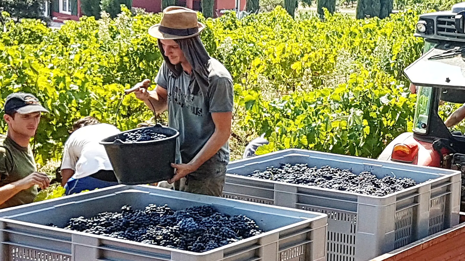 Château Les Valentines - La Londe les Maures