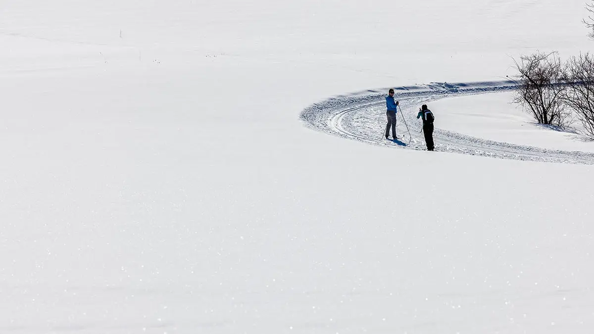 Ski de fond