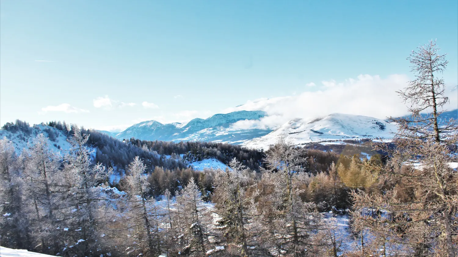Raquettes vue Puy de Manse