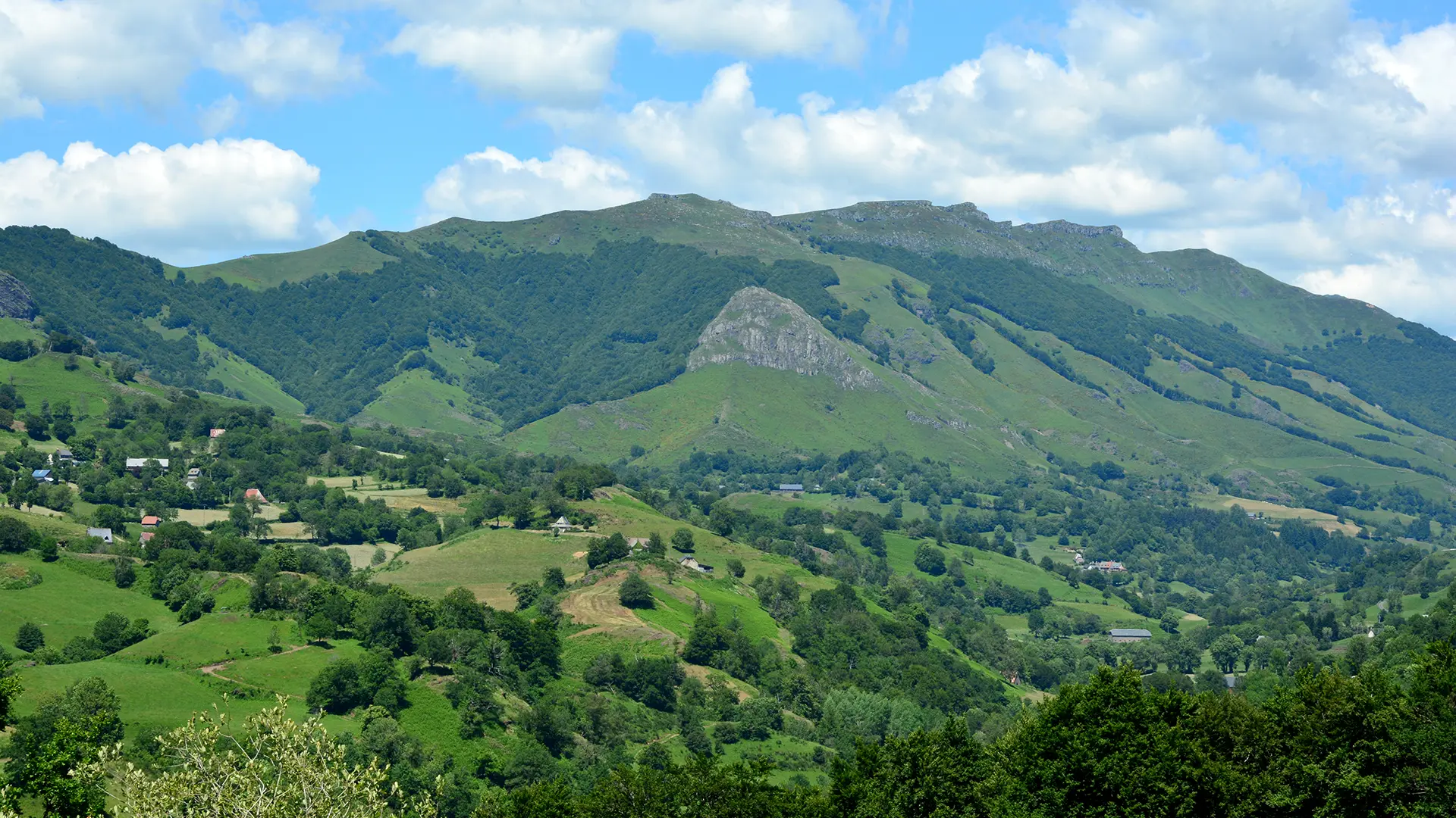 Point de vue