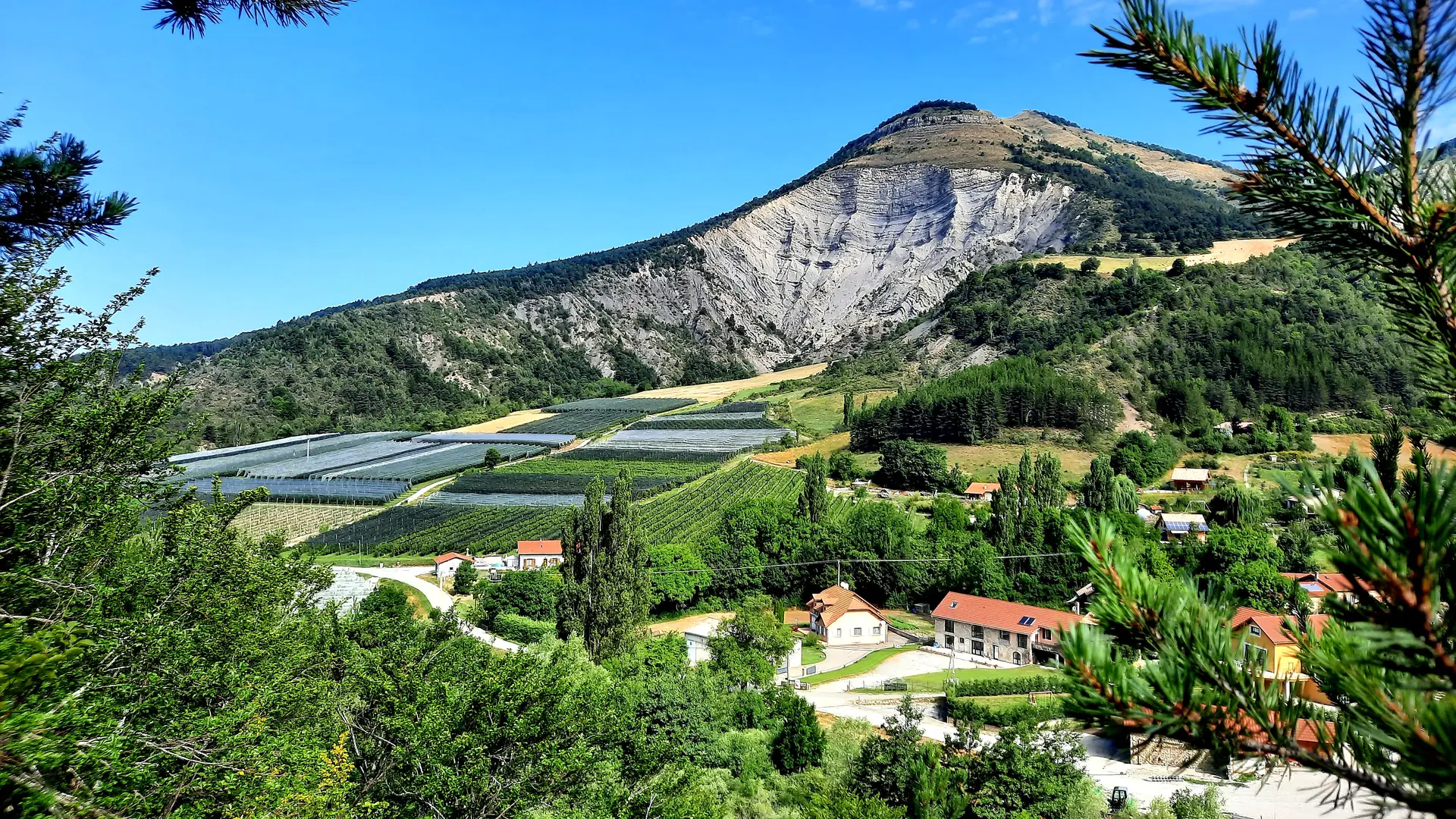 Studio le Petit Bégou