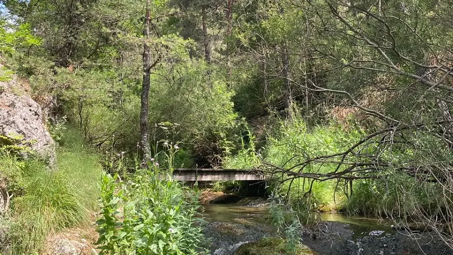 Tour des Champons Allons