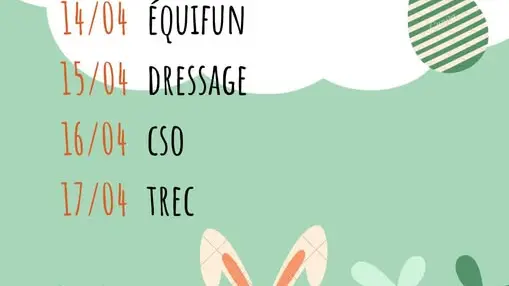 Stage semaine à thème