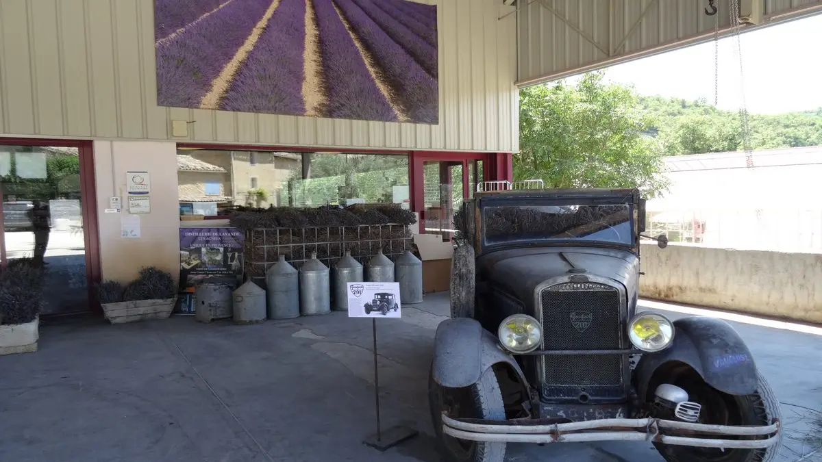 Distillerie de Lavande & Plantes Aromatiques – Les Agnels